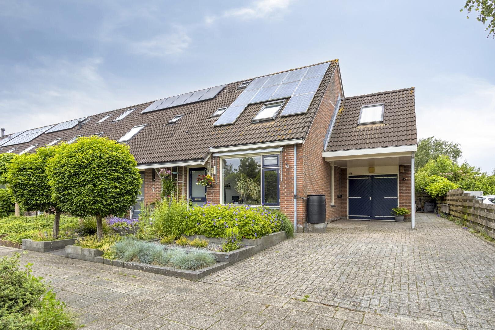 Koekoeksbloem 24 Roden