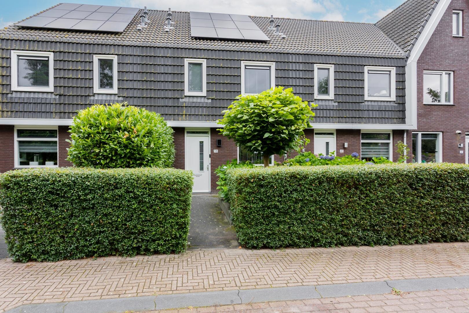 Populier 38 Leek