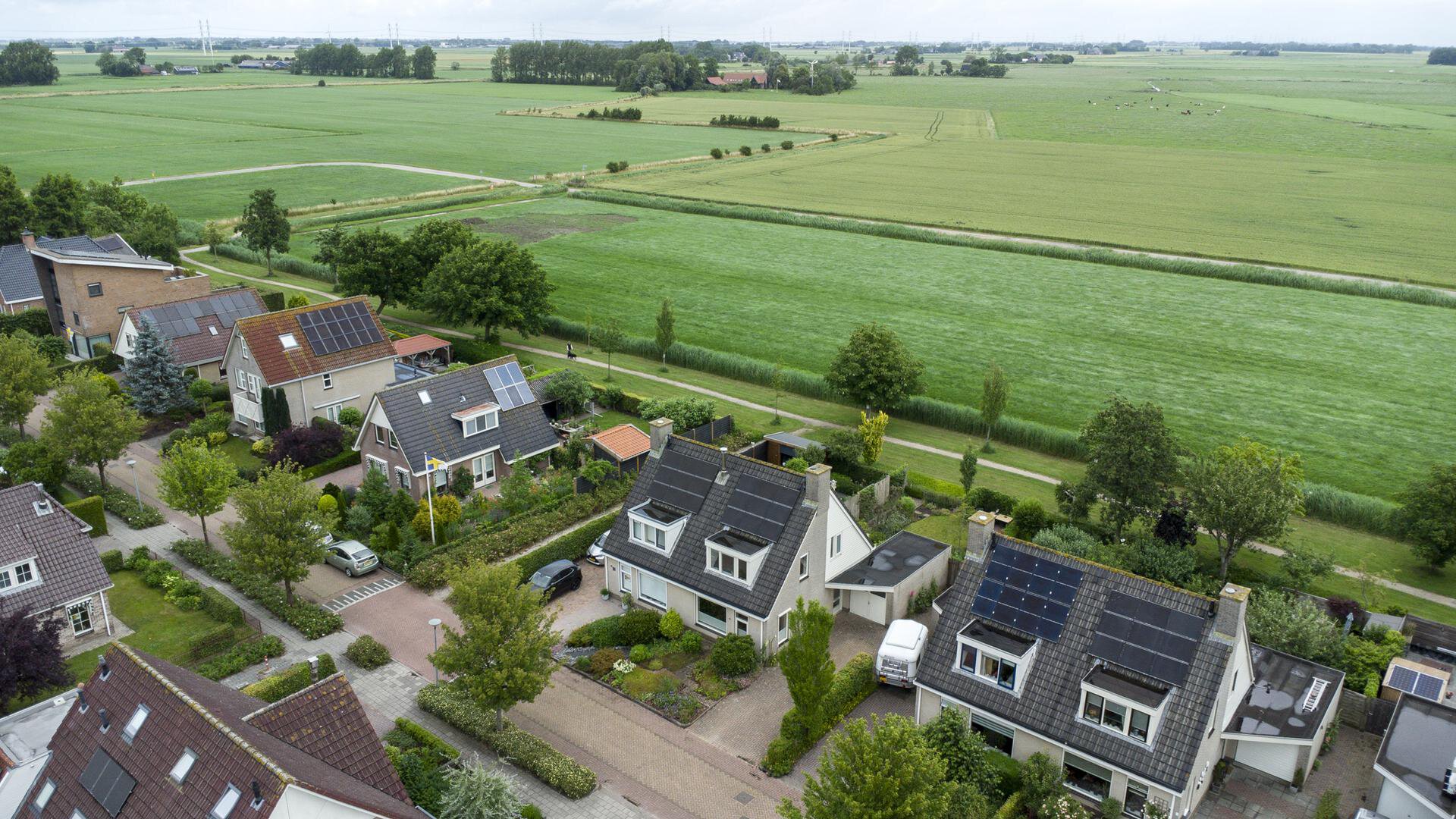 Buizerd 13 Bedum