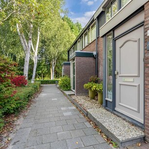 bacacee1aa7e4a6a64326b875030b665.jpg