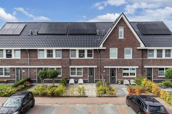 Sleutelbloem 102