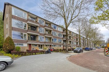 Duindoornstraat 55