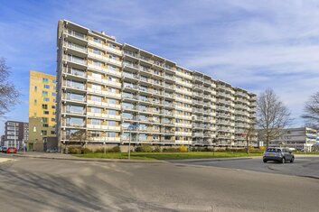 Grote Beerstraat 262